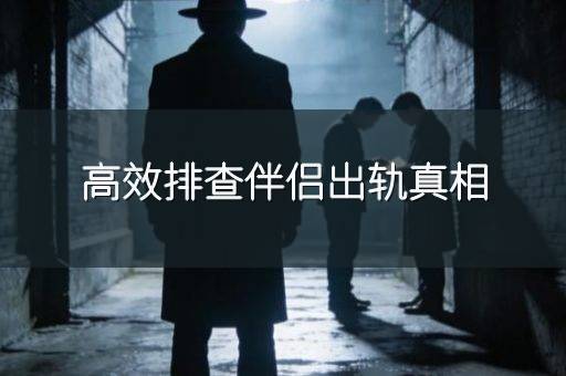 高效排查伴侣出轨真相