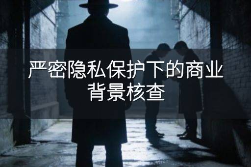 严密隐私保护下的商业背景核查