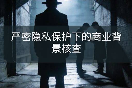 严密隐私保护下的商业背景核查