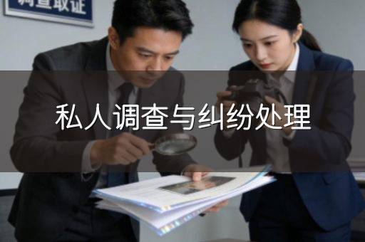 私人调查与纠纷处理