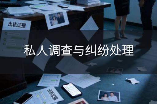 私人调查与纠纷处理