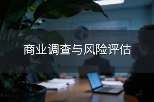 商业调查与风险评估
