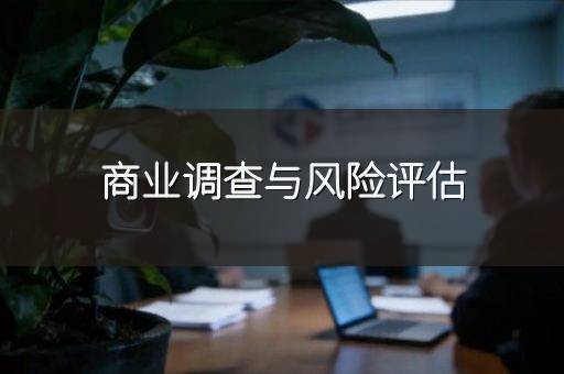 商业调查与风险评估
